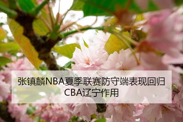 张镇麟NBA夏季联赛防守端表现回归CBA辽宁作用