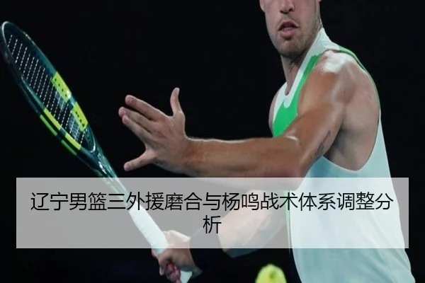 辽宁男篮三外援磨合与杨鸣战术体系调整分析