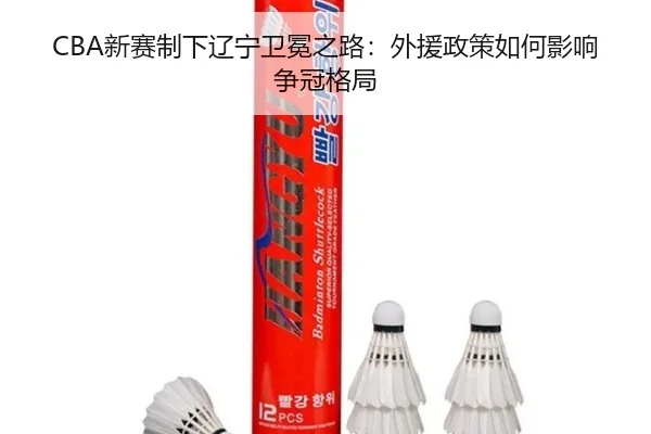 xin-sai-zhi-xia-liao-ning-wei-mian-zhi-lu-wai-yuan-zheng-ce-ru-he-ying-xiang-zheng-guan-ge-ju-2-962.jpg