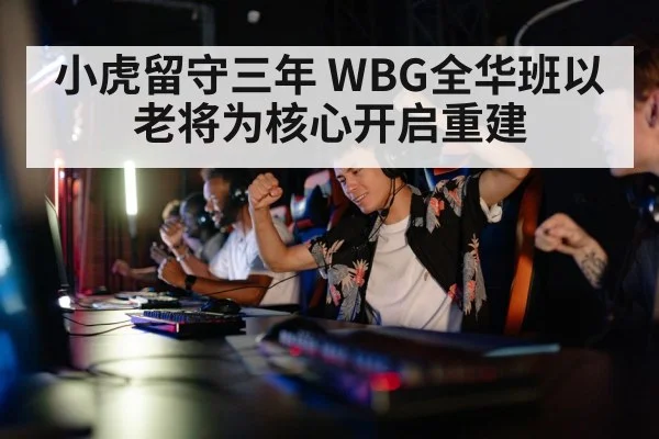 小虎留守三年 WBG全华班以老将为核心开启重建
